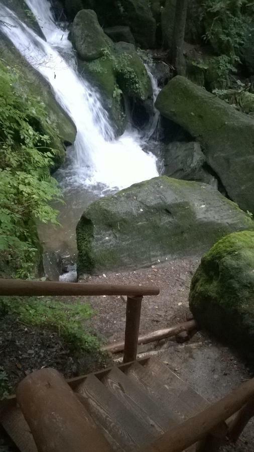Farm stay Goralska Czarcia Chata Pod Jalowcem *